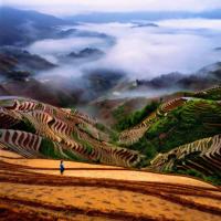 Longji Terraced Rice Fields China